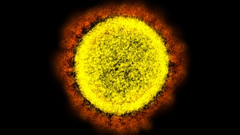 BA.2: What experts are saying about the omicron sub-variant