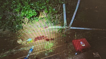 Hawaii man beat woman to death steps from police station after release for alleged assault on cop, police say