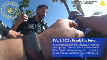 Florida school bus driver was drunk, sheriff's office says