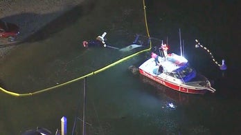 Huntington Beach police helicopter crashes in California; 1 dead, 1 critical
