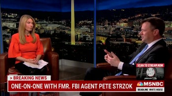 MSNBC's Nicolle Wallace claims Trump 'exploited' the scandal behind Strzok's disgraced departure from FBI, DOJ
