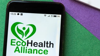 EcoHealth Alliance: Controversial group back in the spotlight for alleged 'double billing' of Wuhan lab work