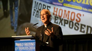 Prominent Jesuit priest appears to defend puberty blockers for children, then walks it back