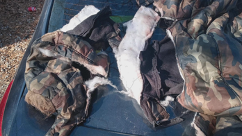 Texas boy mauled by dog while coming home from school