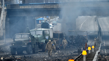 Ukrainian ambassador praises support from West: 'We just need it faster'