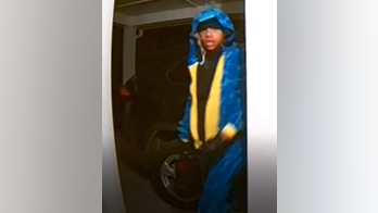 Nashville police on hunt for burglar spotted on camera in blue and yellow dinosaur onesie