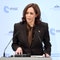 Kamala Harris says Russia will suffer significant economic costs if it invades Ukraine: ‘Swift and severe’