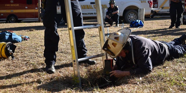 Firefighters used a ladder and webbing to carry the dog out of the hole.