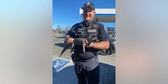 While the driver was arrested due to an open warrant, he will reportedly also face charges related to the alligator.