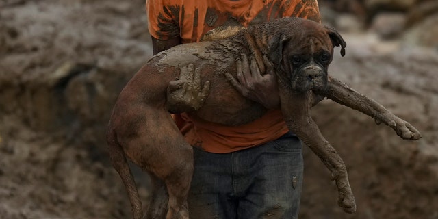 A man carries a dog away from a residential area destroyed by mudslides in Petropolis, Brazil, Wednesday, Feb. 16, 2022.