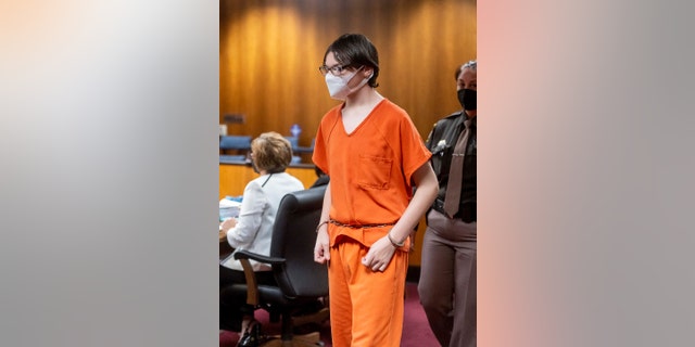 Ethan Crumbley attends a hearing at Oakland County circuit court in Pontiac, Feb. 22, 2022. (David Guralnick/Pool via The Detroit News)