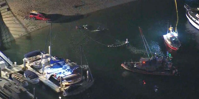 The scene in Newport Beach, California, on Saturday night after a police helicopter crash.