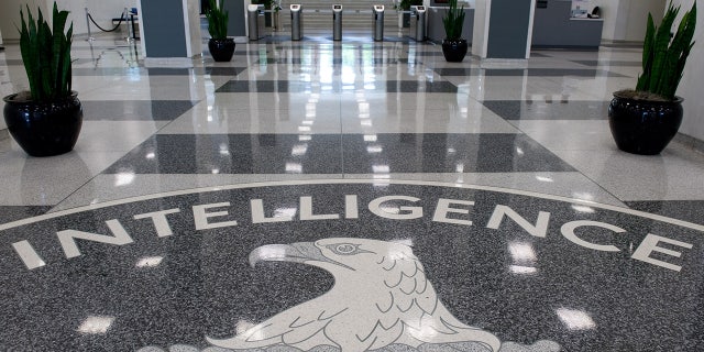 The Central Intelligence Agency seal is displayed in the lobby of CIA Headquarters in Langley, Virginia. (Photo by SAUL LOEB/AFP via Getty Images)