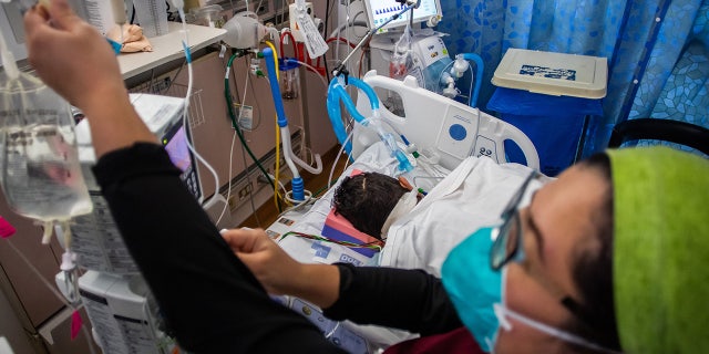 A 45-year-old intubated Covid-19 patient who got his first vaccine two days before he got sick, lies on a bed while registered nurses check his medication, at the Cardiovascular Intensive Care Unit at Providence Cedars-Sinai Tarzana Medical Center in Tarzana, California on September 2, 2021. (Photo by APU GOMES/AFP via Getty Images)