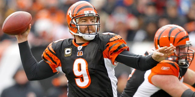 Quarterback Carson Palmer (9) of the Cincinnati Bengals fades back in the pocket while playing the Cleveland Browns at Paul Brown Stadium on Dec. 19, 2010, 신시내티에서, 오하이오.