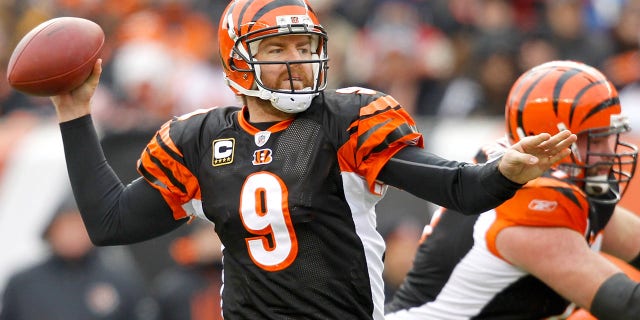 Quarterback Carson Palmer (9) of the Cincinnati Bengals fades back in the pocket while playing the Cleveland Browns at Paul Brown Stadium on Dec. 19, 2010, a Cincinnati, Ohio.
