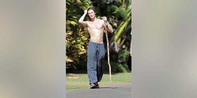 Shawn Mendes was seen enjoying a shirtless stroll in Hawaii over the weekend.