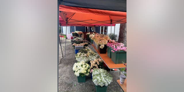 39-year-old Ashley Manning, a florist from Charlotte, North Carolina, started "Valentine's Day" in 2021 after she asked her Instagram followers to send her the names and addresses of widows in her area so she could bring them flower arrangements.