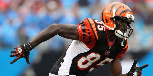 Chad Ochocinco of the Cincinnati Bengals during a game against the Carolina Panthers at Bank of America Stadium on September 26, 2010 in Charlotte, NC  