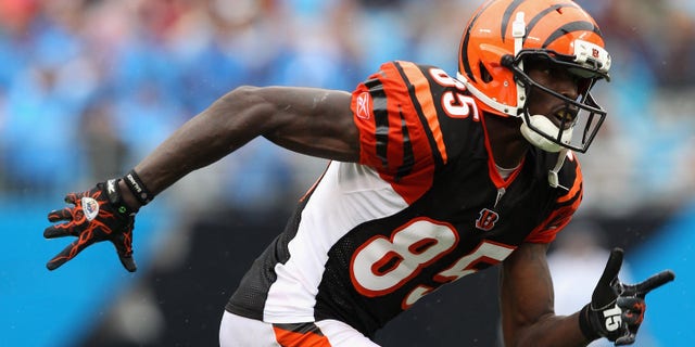 Chad Ochocinco de los Cincinnati Bengals durante un partido contra los Carolina Panthers en el Bank of America Stadium el 26 de septiembre de 2010 en Charlotte, Carolina del Norte.  