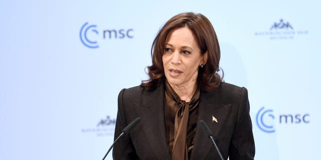 19 February 2022, Bavaria, Munich: Kamala D. Harris, U.S. Vice President, speaks at the 58th Munich Security Conference. The Security Conference will be held at the Bayerischer Hof Hotel from Feb. 18-20, 2022. Photo: Tobias Hase/dpa (Photo by Tobias Hase/picture alliance via Getty Images)
