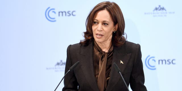 19 February 2022, Bavaria, Munich: Kamala D. Harris, U.S. Vice President, speaks at the 58th Munich Security Conference. The Security Conference will be held at the Bayerischer Hof Hotel from Feb. 18-20, 2022. Photo: Tobias Hase/dpa (Photo by Tobias Hase/picture alliance via Getty Images)