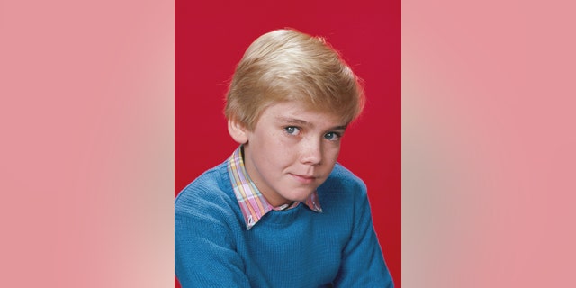 Ricky Schroder starred in "Silver Spoons" from 1982 until 1987.