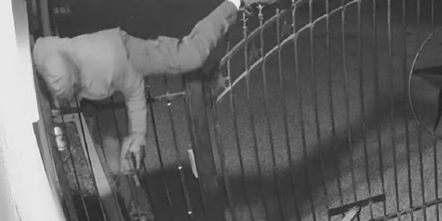 Un sospechoso de robo es capturado saltando una valla en Houston el 14 de febrero después de robar a alguien a punta de pistola momentos antes. La víctima supuestamente disparó contra un vehículo y le disparó fatalmente a Arlene Alvarez.