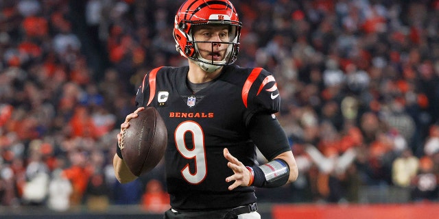 Joe Burrow #9 of the Cincinnati Bengals drops back to pass in the second quarter against the Las Vegas Raiders during the AFC Wild Card playoff game at Paul Brown Stadium on January 15, 2022 in Cincinnati, Ohio.