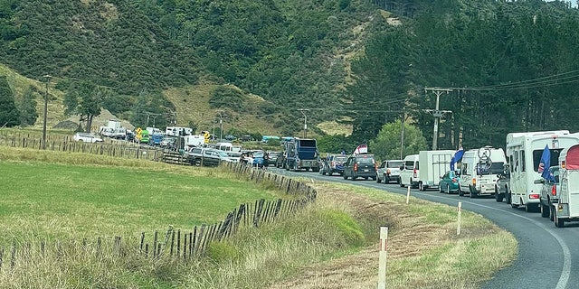 The New Zealand freedom convoy