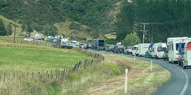 The New Zealand freedom convoy