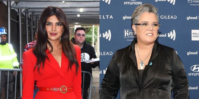 Rosie O'Donnell recently revealed she embarrassed herself in front of Priyanka Chopra and Nick Jonas while at Nobu Malibu.