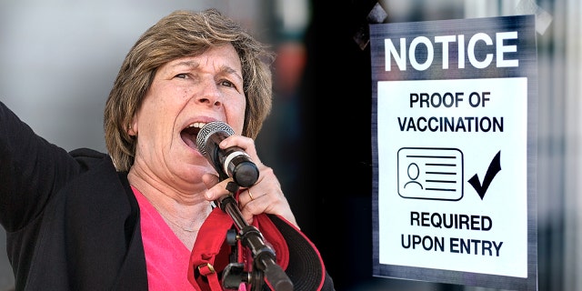 LOS ANGELES, CA - JANUARY 22: American Federation of Teachers president Randi Weingarten speaks to a crowd of striking teachers in Grand Park on January 22, 2019 in downtown Los Angeles, California.