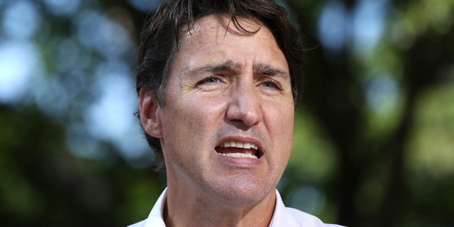 Canadian Prime Minister Justin Trudeau recently blamed climate change, the mentally ill and addicts for "threats" against politicians from citizens.