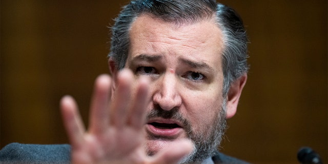 Sen. Ted Cruz, R-Texas, questions Nina Morrison during her Senate Judiciary Committee confirmation hearing in Dirksen Building on Feb. 16, 2022.