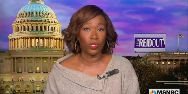 MSNBC's Joy Reid bashed anyone who voted Republican as choosing "literal fascism" in February. 