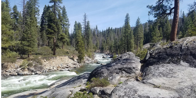 Sierra National Forest. A Northern California family and their dog were found dead on a hiking trial in the forest.