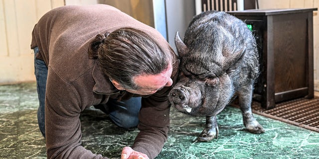 Wyverne Flatt is fighting to keep his pot-bellied pig Ellie as an emotional support animal.