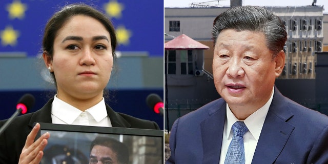 Jewher Ilham, daughter of Ilham Tohti, Uyghur economist and human rights activist, holds a portrait her father during the award ceremony for his 2019 European Parliament's Sakharov human rights prize at the European Parliament in Strasbourg, eastern France, on December 18, 2019.