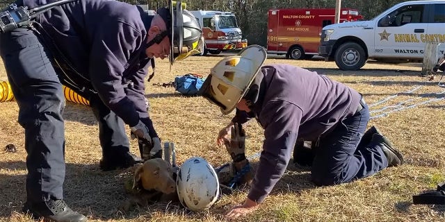 Firefighters were able to help the rescue worker and dog fit through to the small opening at the top of the hole.