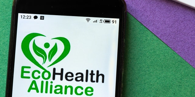 In this photo illustration from May 3, 2020, an EcoHealth Alliance logo is displayed on a smartphone. 
