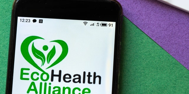 In this photo illustration from May 3, 2020, an EcoHealth Alliance logo is displayed on a smartphone. 