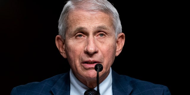 Dr.  Anthony Fauci testifies on Capitol Hill last month.  (Photo by Greg Nash-Pool / Getty Images)