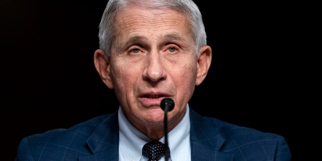 Dr. Anthony Fauci testifies on Capitol Hill last month. 