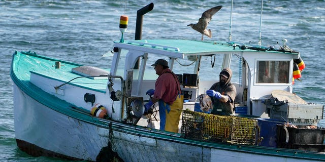 A sternman, right, baits a lobster trap while the captain maneuvers the boat while fishing, Monday, Sept. 21, 2020, off South Portland, Maine. The state of Maine might create a $30 million annual relief fund to help lobster fishermen economically hurt by new rules to protect right whales. 
