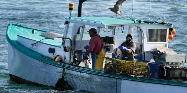 Lobstermen bait a lobster trap while fishing off the coast of South Portland, Maine.