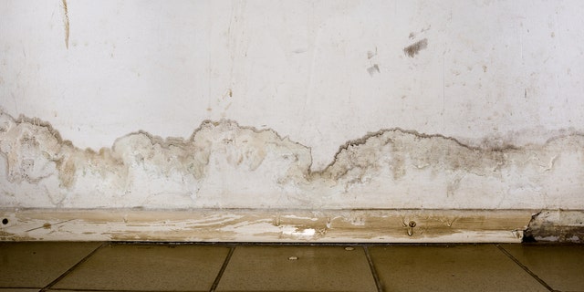 Stock image: The bathroom had sustained "extensive water damage," and the landlady called in a contractor to do repairs that required tearing down the bad wall.