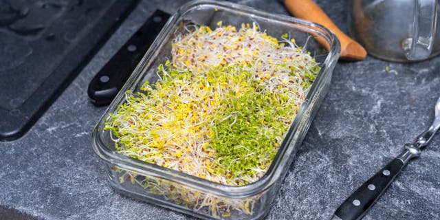 Broccoli sprouts contain an anti-aging compound called sulforaphane, Ivanir says.