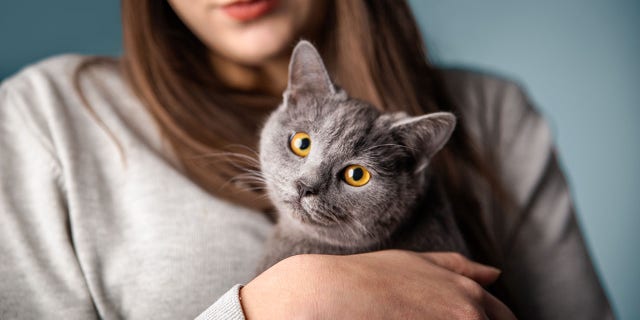 While she initially thought college staff and students would not be interested in playing with a cat — that was incorrect, said Pendry, one of the authors of a new study.