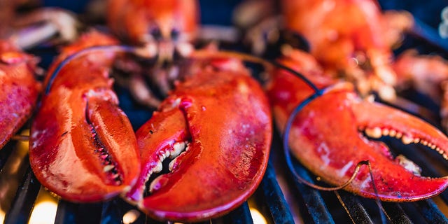 Lobster exporters in Maine continued to ship high quantities of product to China throughout 2021, despite difficulties.